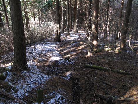 20161216hike (164)